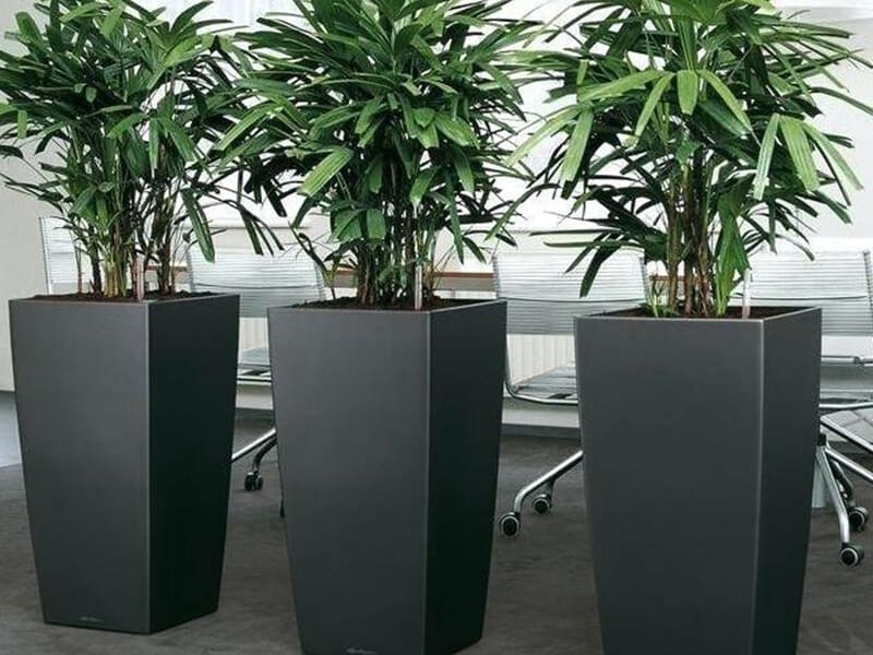 Polyester Saksı İmalatı